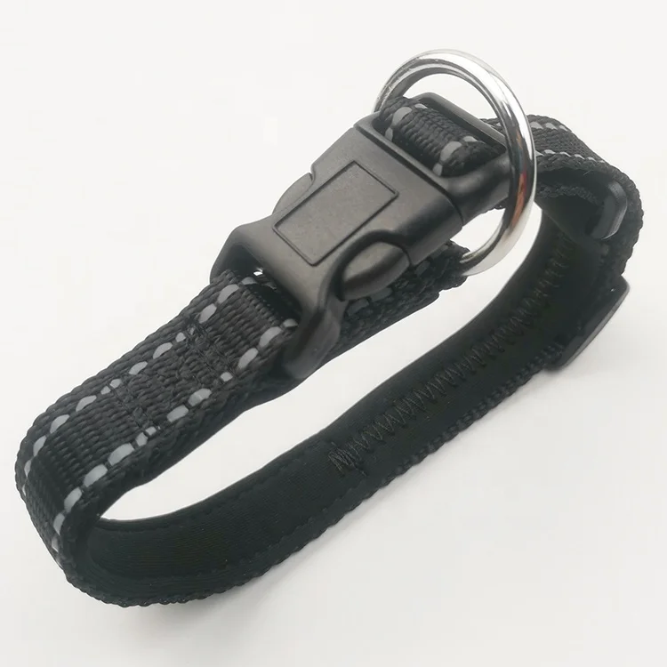 nylon dog collar (1).jpg