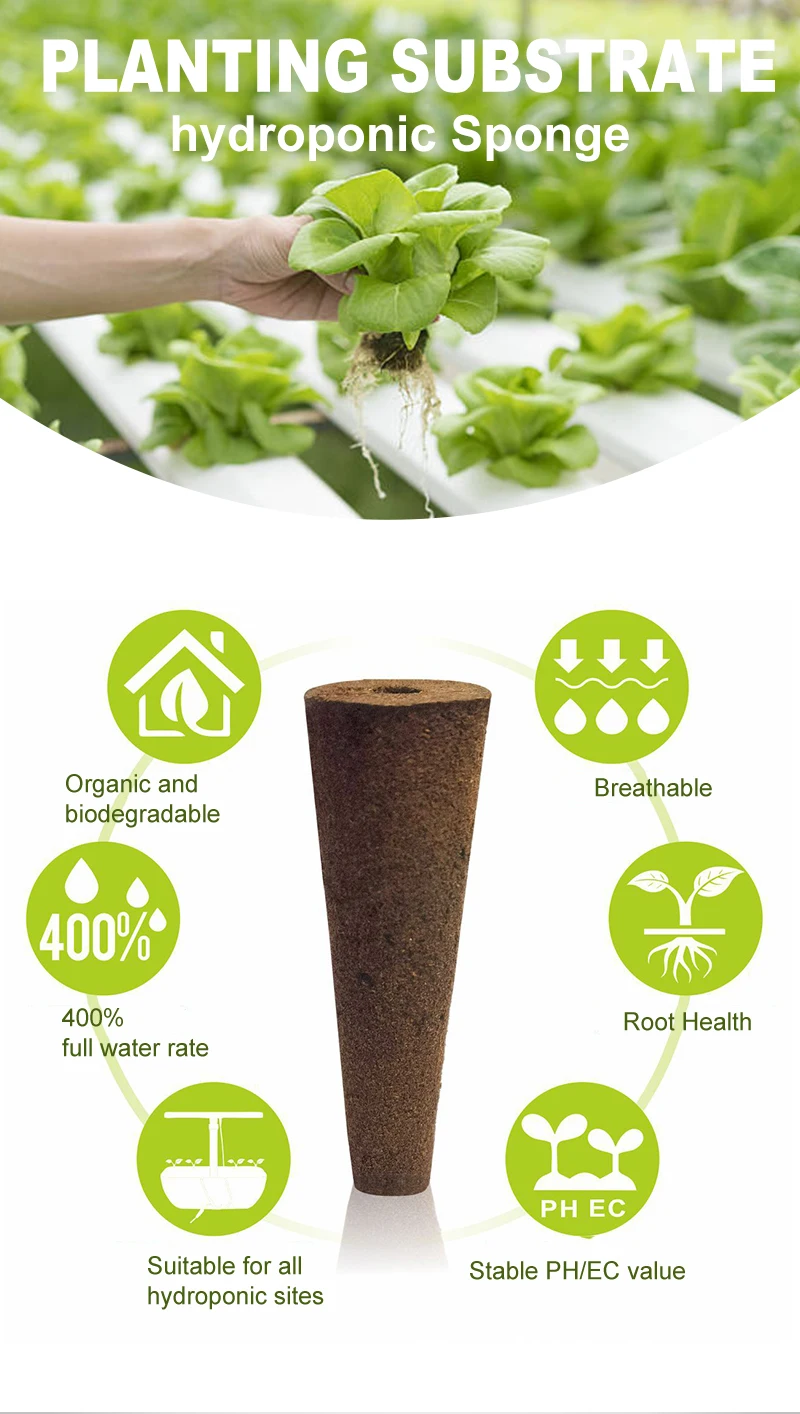 100pcs coco bran Hydrophilic adhesive 400% full water rate Nursery pots for green leaf VEG Grow sponge