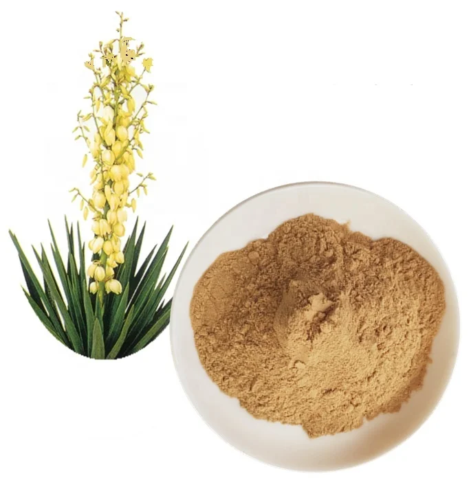 Best Seller Natural 30% 60% Yucca Saponins Yucca Schidigera Extract Yucca Extract Powder
