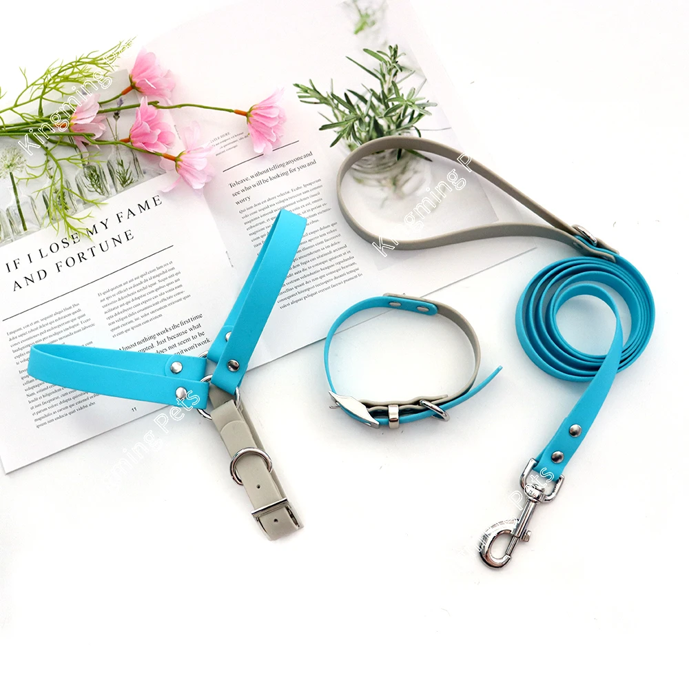 PVC color blocking plastic waterproof metal insert buckle wholesale custom logo pet dog and cat outdoor sports harness set