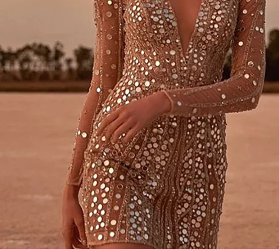 A small dress with a deep V long sleeve sequined dress