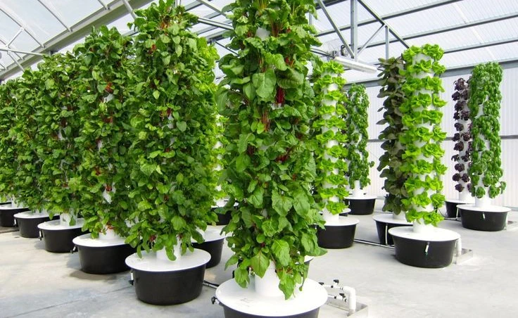 High quality hydroponic system customized hydroponic tower for agricultural greenhouse
