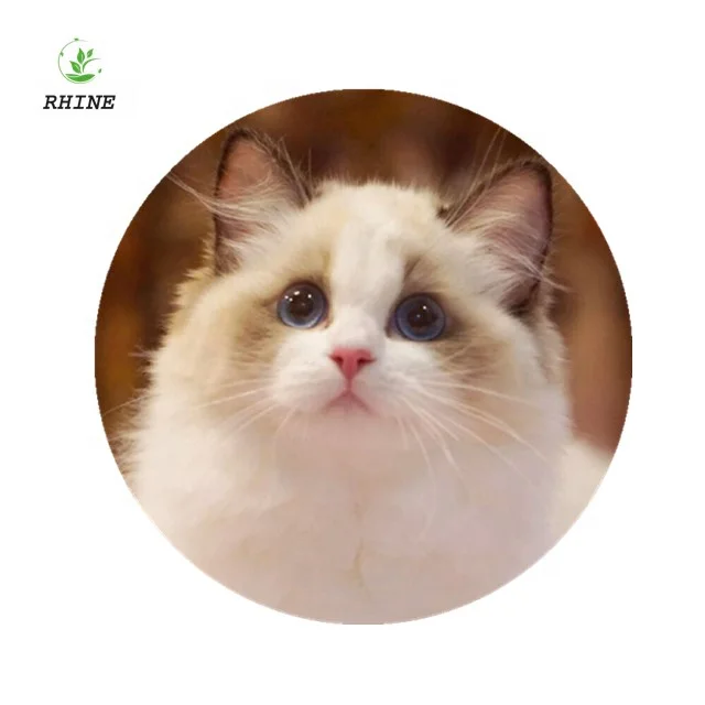 
Water Soluble Propylene glycol for FIP prevention Consulting Service 