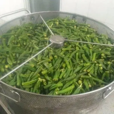 Hight Quality fried machine Large Industrial Fryers