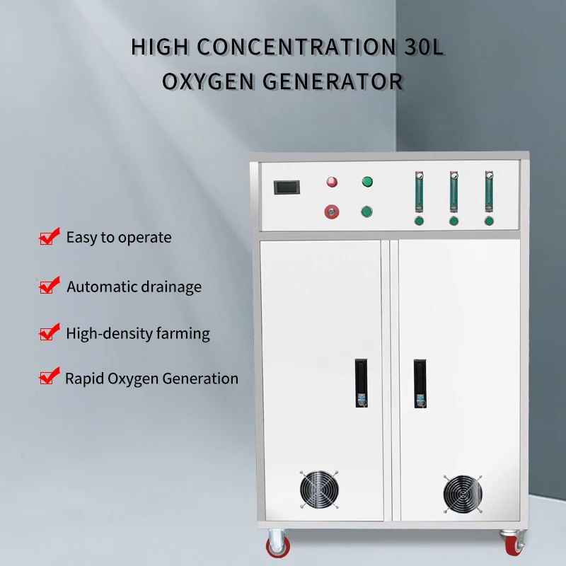 2021 new product oxygen cylinder refilling machine hydrogen pure oxygen machine portable 30l oxygen generator