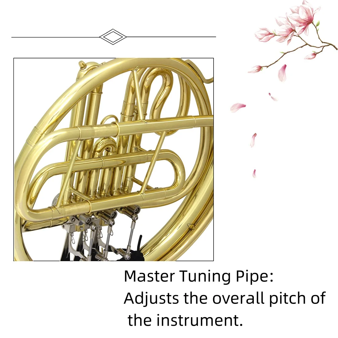 Student Beginner Exam Brass Flat 3 Keys Split Bb French Horn