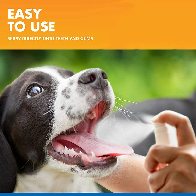 Private Label Tartar Control Fresh Breath Mouth Teeth Cleaning Oral Spray For Dogs Dog Spray