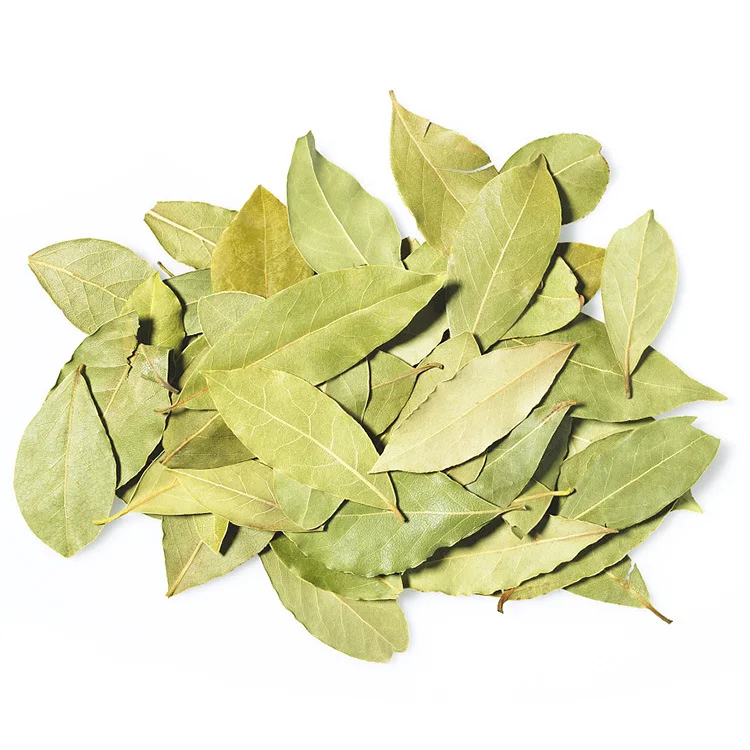 High Quality Single Spice  Natural Spices Whole Bay Leaf Dried Bay Leaves