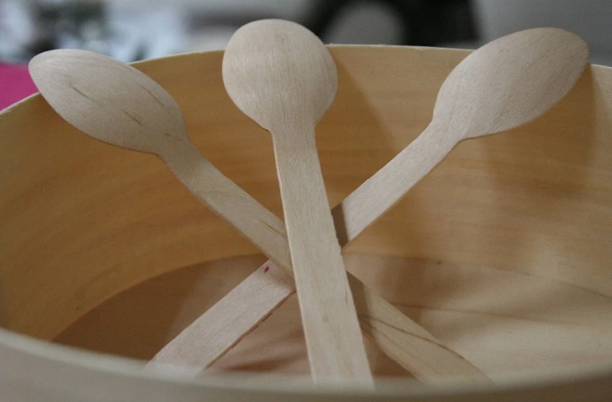 Disposable Wooden cutlery
