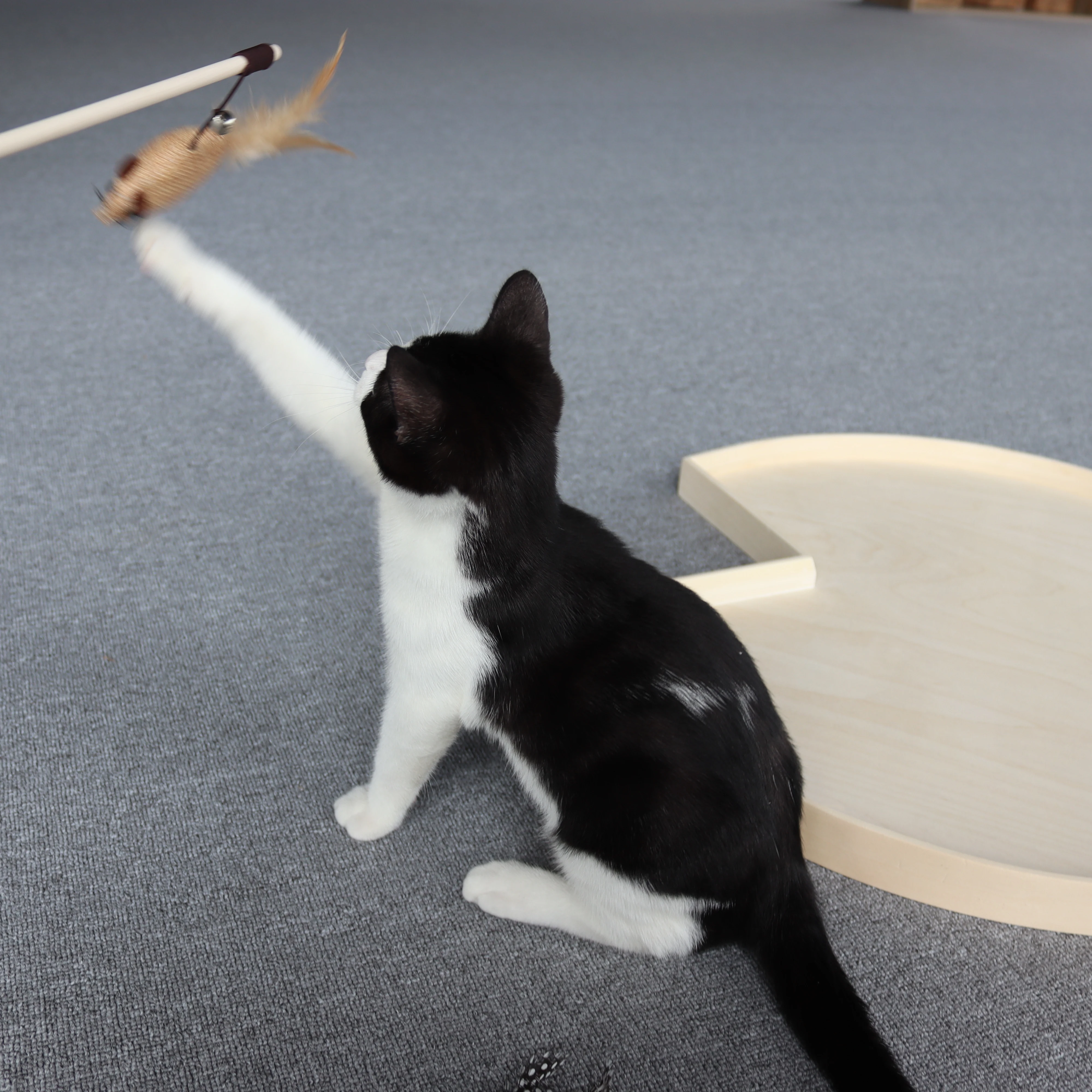 Vietnam Eco-friendly Funny Feather Cat Toy Indoor Wood Pet Teaser Colorful Fairy Stick Interactive Toy for Cats