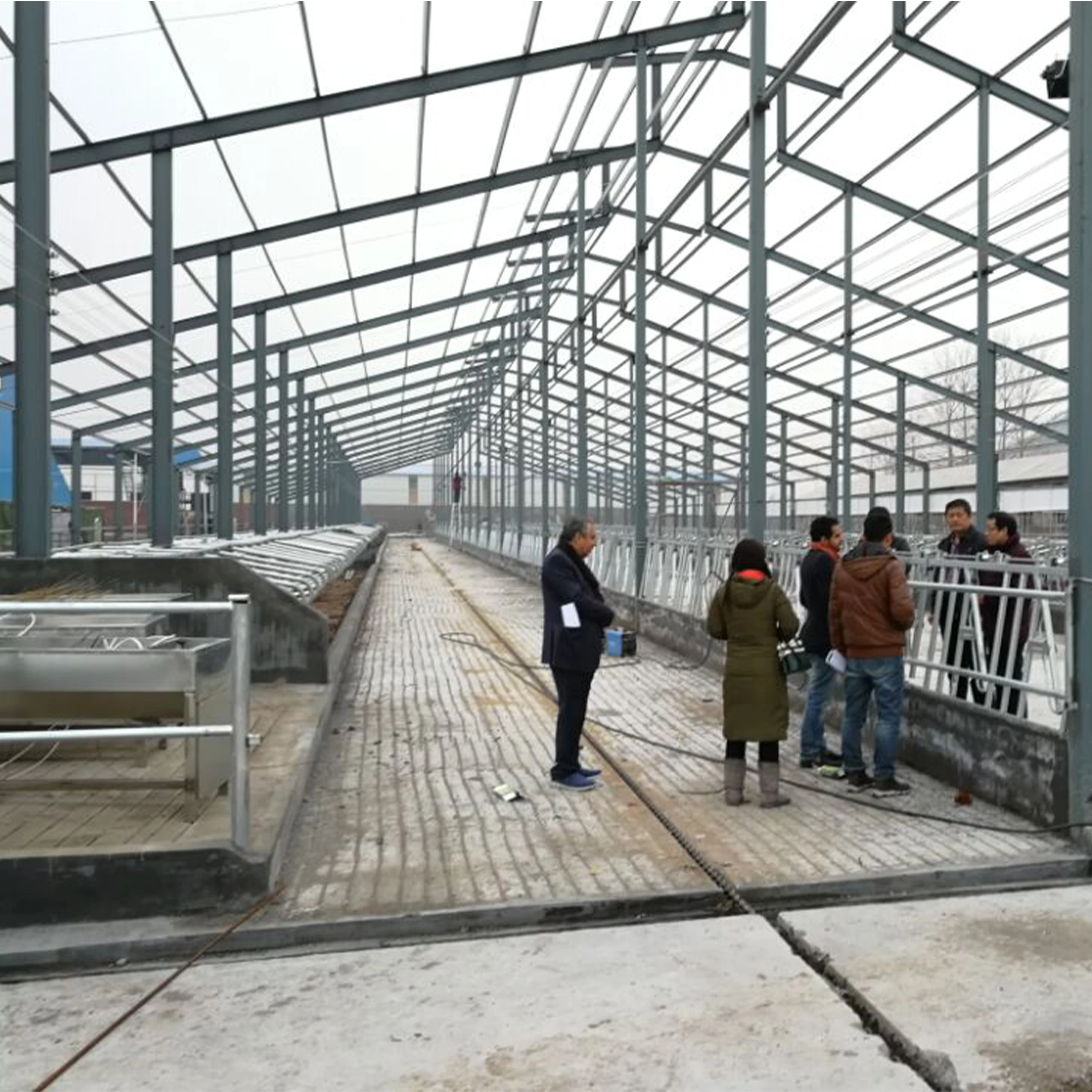 Приют для животноводства сарай молочной фермы живой рогатый скот коз стальное здание Выращивание свиней зимняя защита