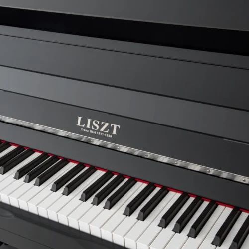 Factory Directly Sell Piano 88 Keys  High-Grade Spruce Sound Board Chinese Digital Piano