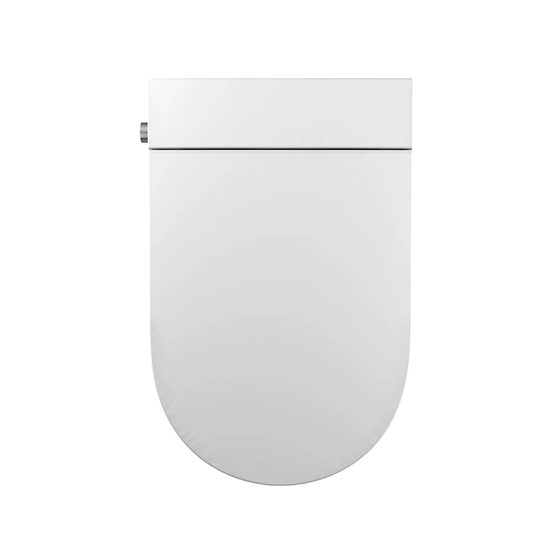 TEJJER Modern women gravity glushing intelligent smart bidet toilet