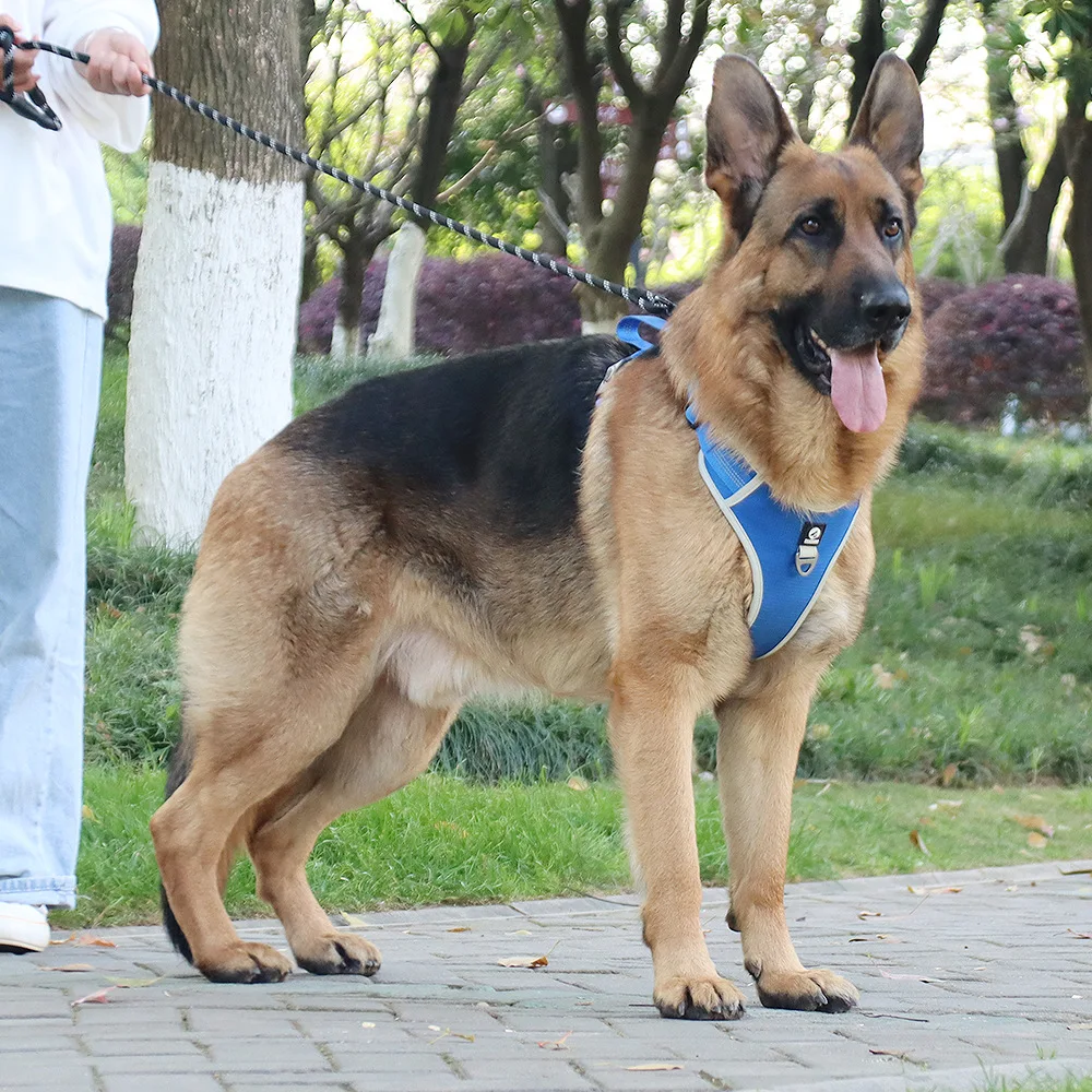 Custom Logo Big Adjustable Non Pull Hunting Harness Outdoor Tactical Military K9 Army Dog Safety Vest Harness for Dog