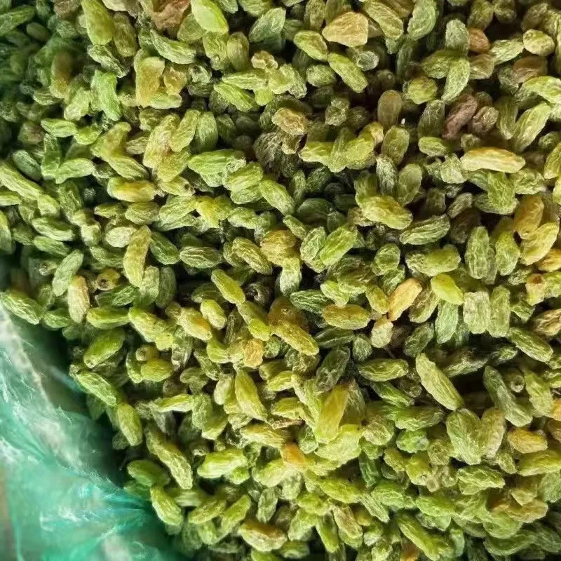 Оптовая продажа высококачественные органические сушеные фрукты зеленый изюм