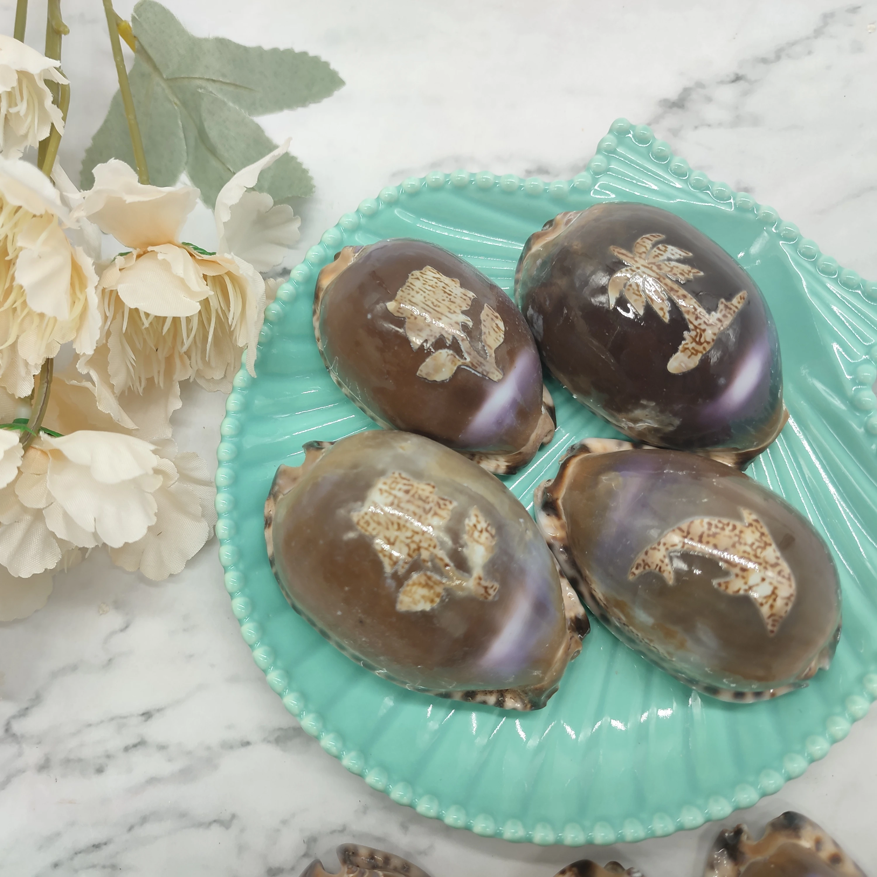 Natural Large Cowrie Seashell With Ocean Style Carving