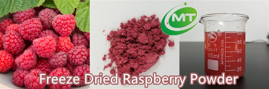Free Sample Organic Natural Tasty Superfood Freeze Dried Raspberry Powder/Raspberry Fruit Powder for Drink and Baking
