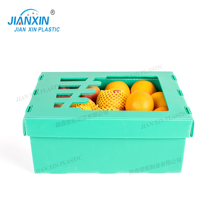 Customized Fruit /Vegetable Packaging Corrugated Plastic Box Corrugated Storage PP Packing Boxes for fruits and vegetables