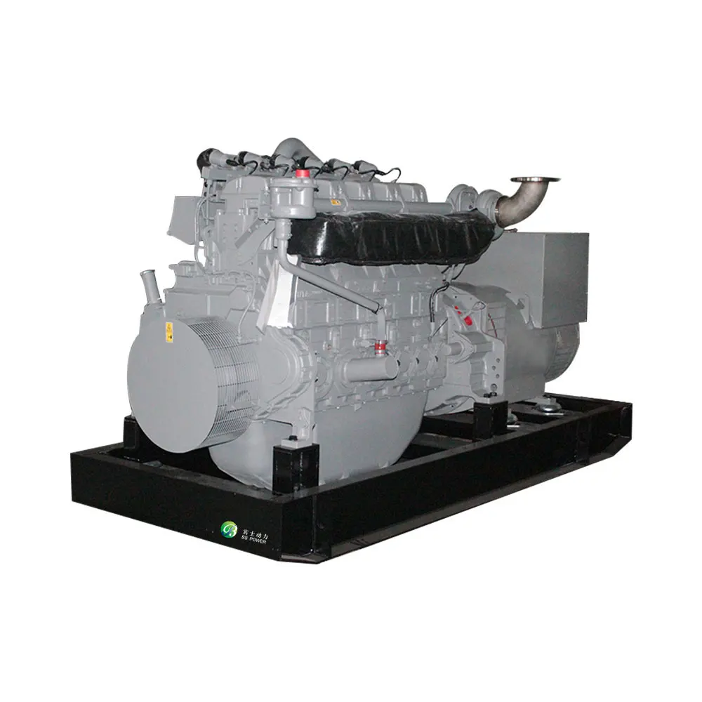 1MW Parallel to 4MW Power Plant Natural/LPG/Biomass Gas Generator Set with
