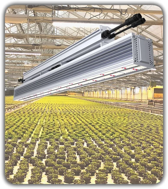 Sunritek Greenhouse light 530W/660W grow light 2.5umol/J efficacy Osram LED grow light for indoor Greenhouse