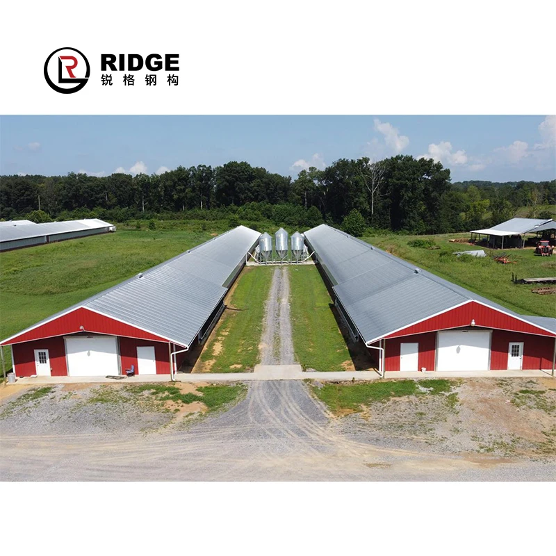 Commercial Steel Frame Broiler Poultry Farm Shed Prefabricated Chicken House Designs For Sale