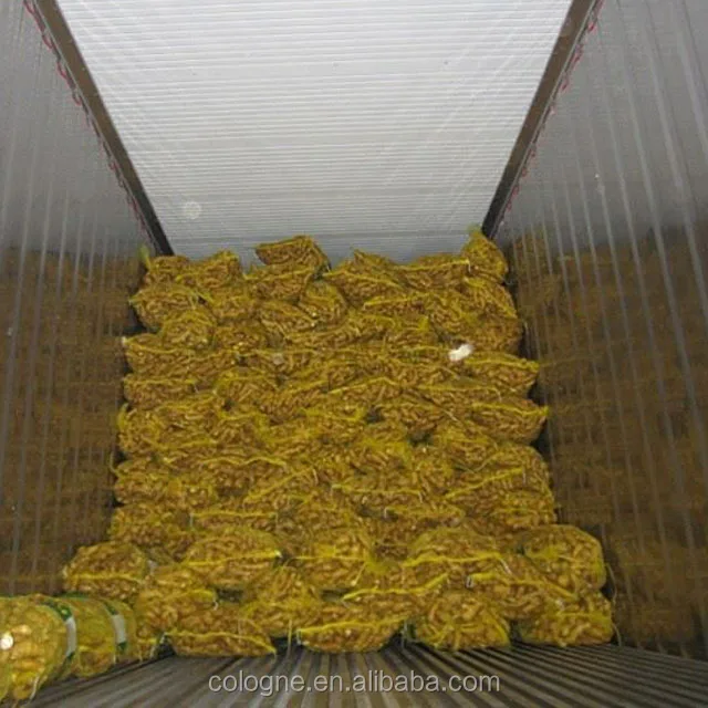 Export New red  Ginger Fresh Wholesale market price From Chinese ginger Suppliers