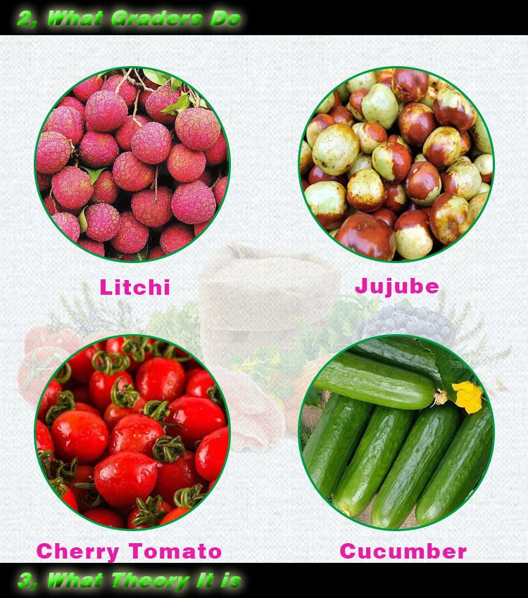 Factory Supply Price Automatic  Vegetables and Fruits Roller Grader Suit Cucumber Cherry Tomato Grading Sorting