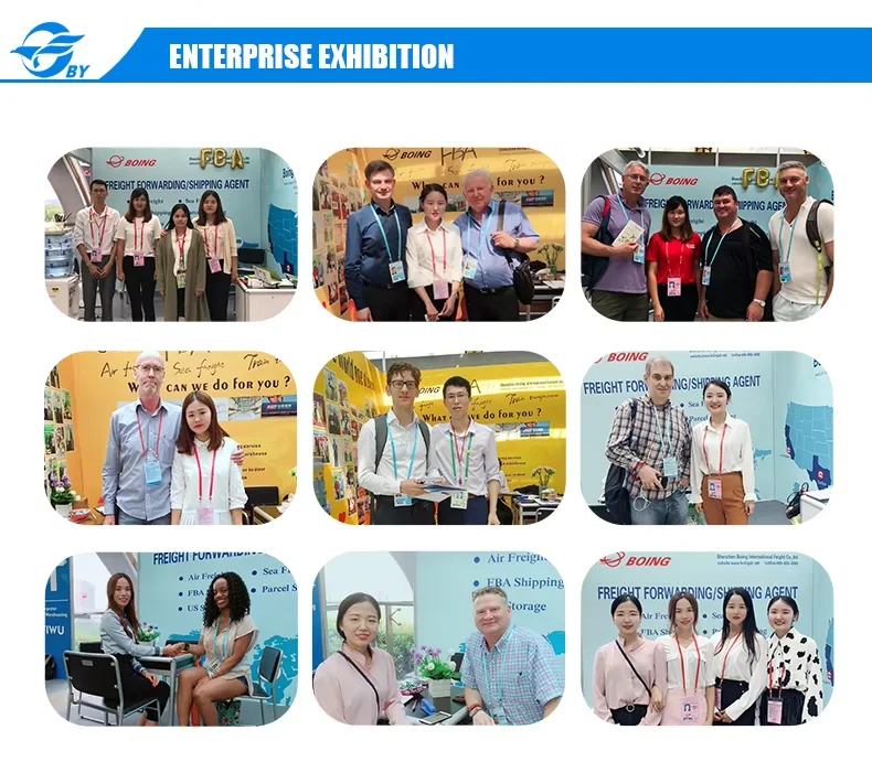 The Logistic Company  One Stop The Best Service from China to Worldwide DDU and  DDP