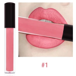 No Logo Lip Stick OEM Private Label Custom Waterproof Longlasting Matte Liquid Lipstick