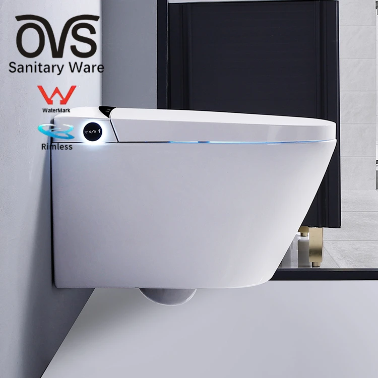 OVS WaterMark Australia Intelligent Toilets Smart Peeping Chinese Seat Electric Bidet Cover Automatic Toilet