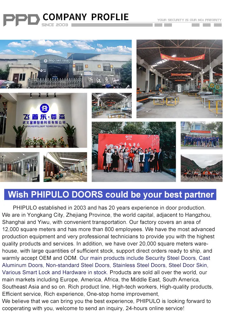 steel security door7 (6)