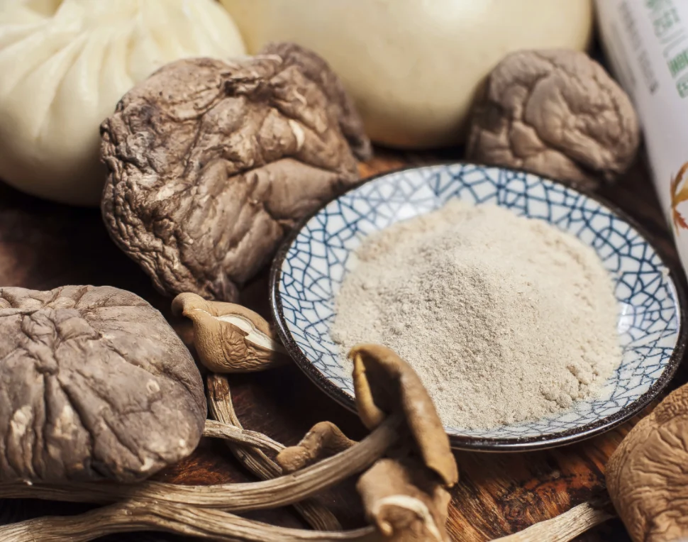 Seasoning powder mushroom flavor bouillon seasoning food grade flvor enhance for cooking