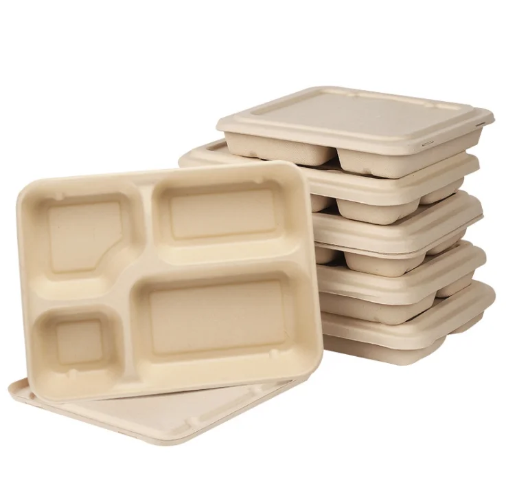 Disposable Biodegradable 3 5 Compartment Meal Food Sushi Fresh Fruits Tray Sugarcane Bagasse Trays with Lid