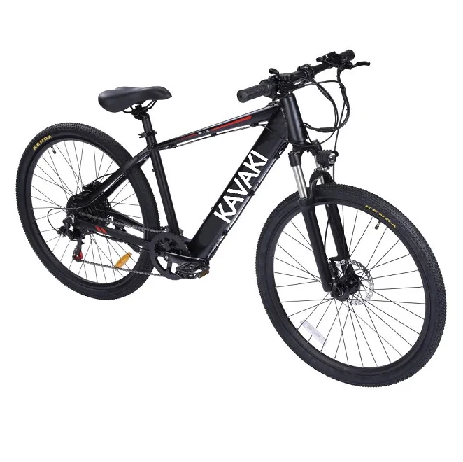 
750w powerful dual batteries fat tire electric cargo bike 