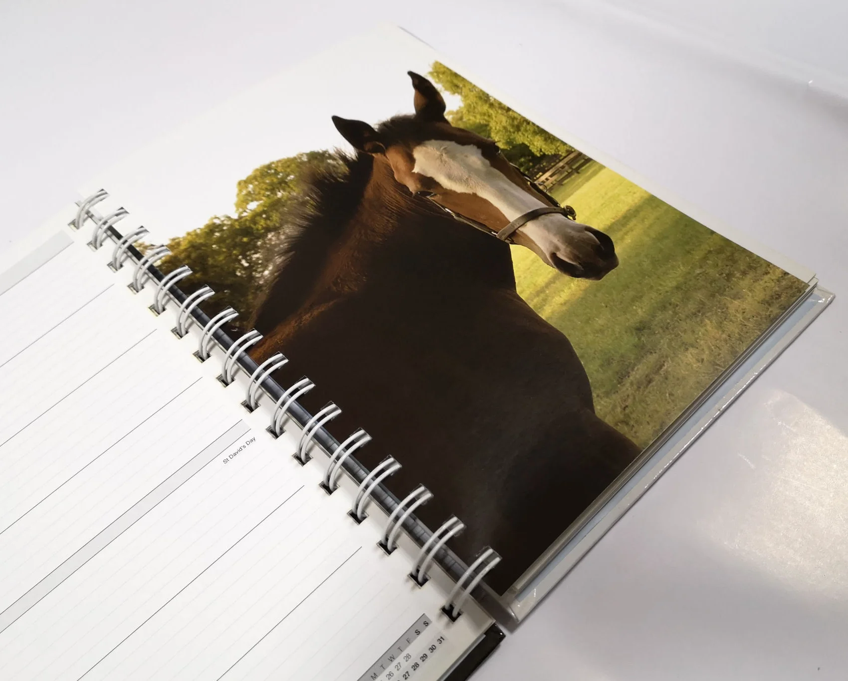 coloring book printing perforation spiral and  custom and children book printing