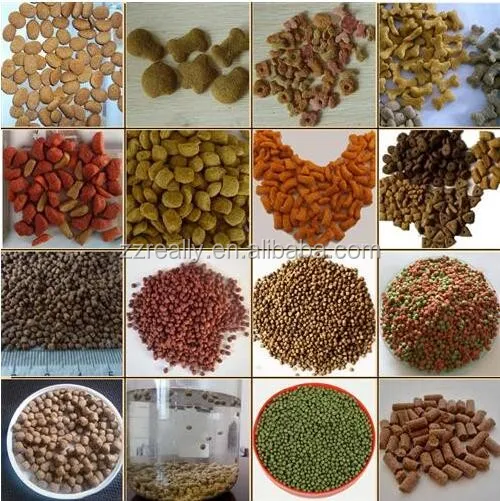 Various Models Floating Fish Feed Extruder Machine Pet Animal Feed Pellet Processing Machines Dry Dog Food Making Machine