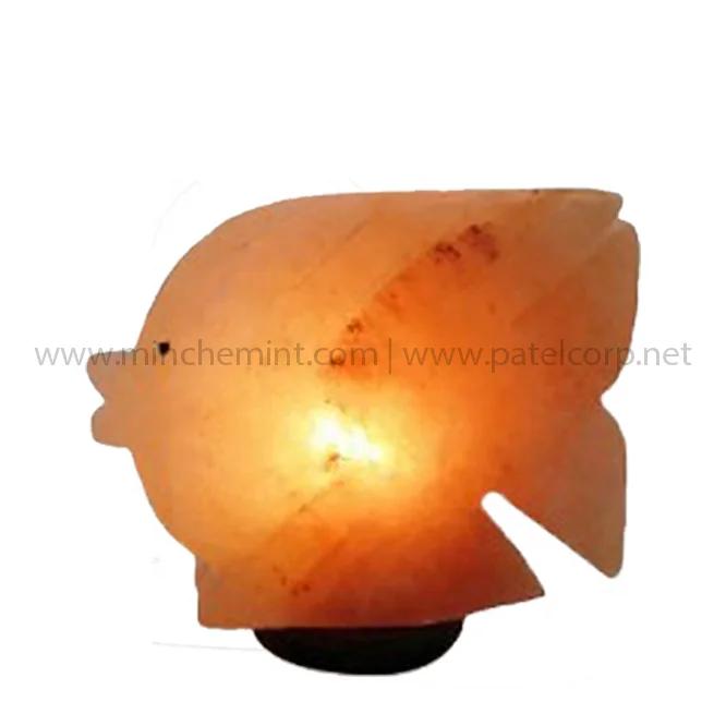 Himalayan Salt Animal with wooden engraving Crafted Lamps premium quality low price