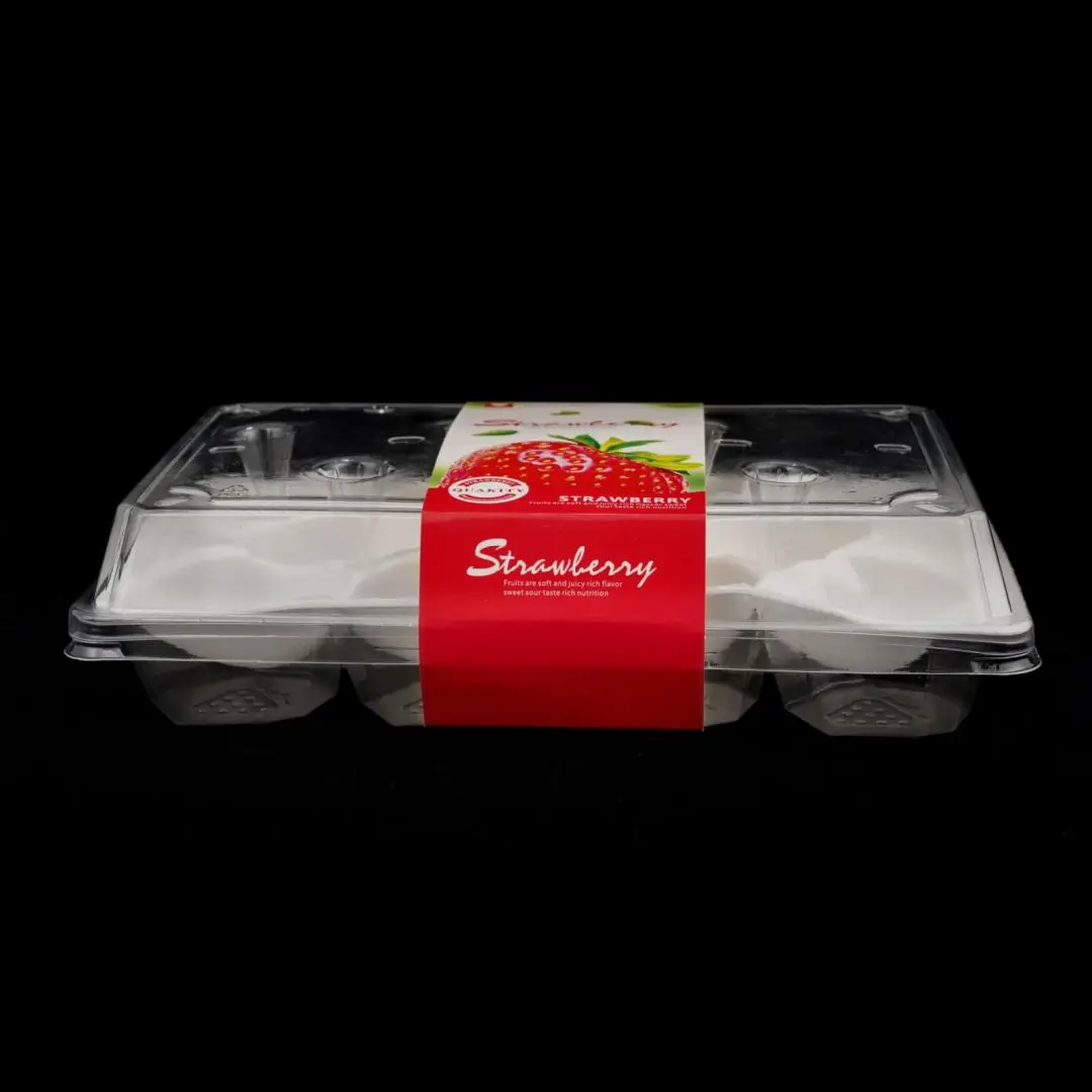 Manufacturer Disposable Transparent PET Strawberry Packaging Foam Tray Clear Plastic Fruit Box
