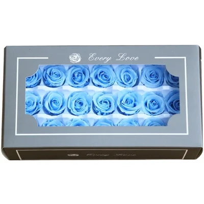 In Stock Lamp Photo Real Wall Wishing Bottle New Arrival Fresh Flower 21 Pcs Free Shipping Carina Heads Preserved Roses Nude