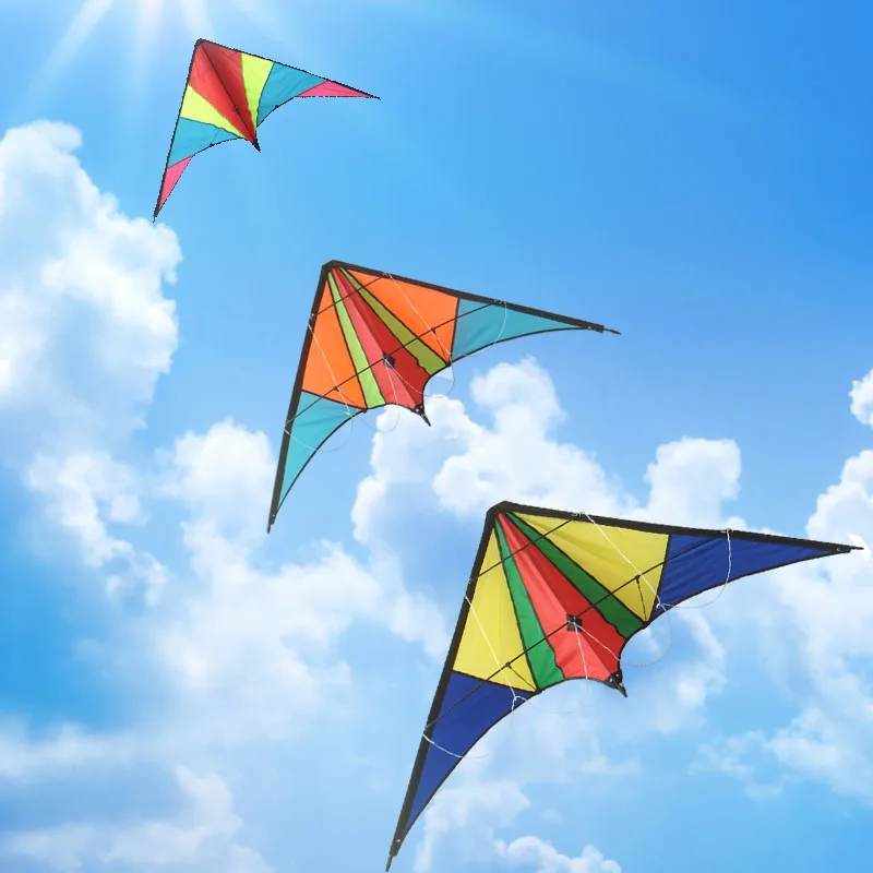 
Yongjian 2020 Dual Line Easy flying Custom Printed outdoor playing training leaf kite albatross stunt kite From Weifang 