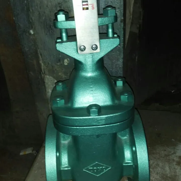 TOYO iron gate globe check valves and Y strainer BS ANSI class 125(OEM)