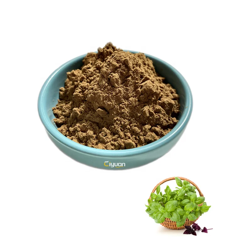 CIyuan Factory Supply Natural Basil Leaf Extract  Holy Basil Ocimum Sanctum Powder in Bulk
