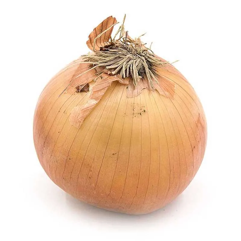 Chinese fresh onion with Long-shelf life