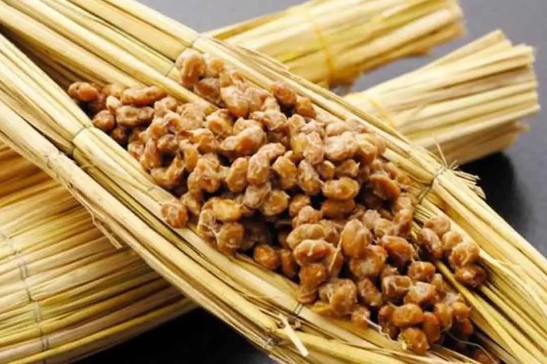 Natto Powder Raw Material Nattokinase 20000fu Wholesale High Quality Natural Natto Extract Nattokinase