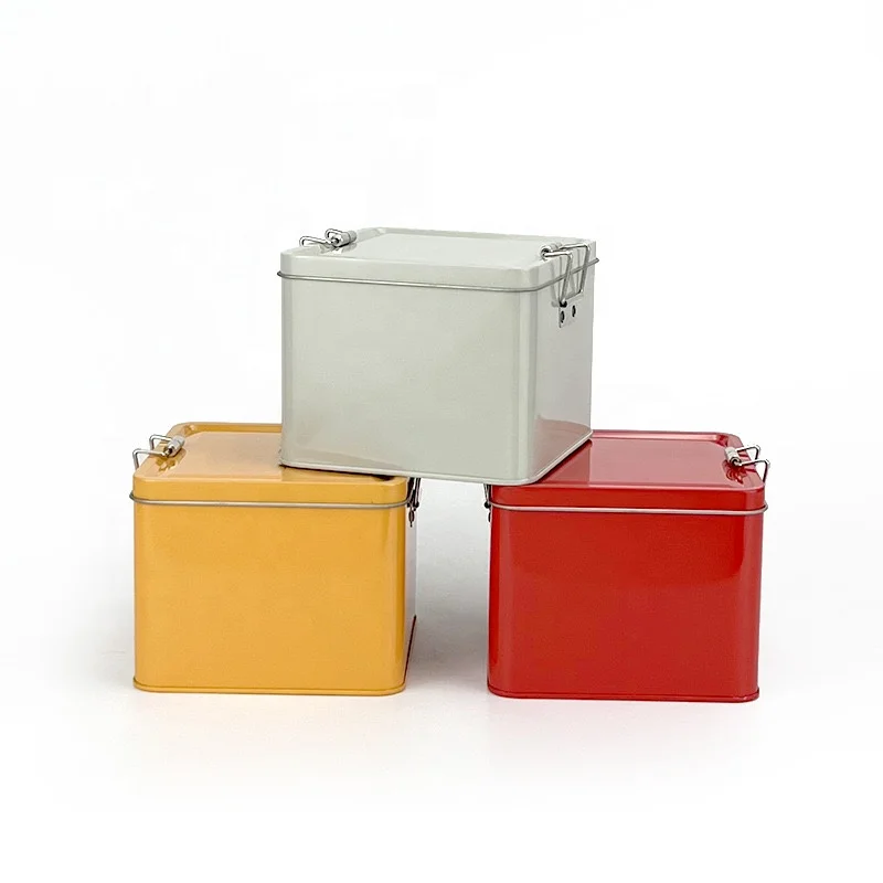 Novelty Empty Cookie Biscuits Storage Metal Box Square Tin with Buckle Lid