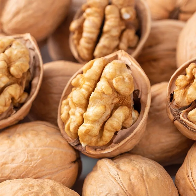 Оптовая продажа высококачественные вкусные закуски сушеные тонкокожие грецкие орехи в скорлупе поставщик