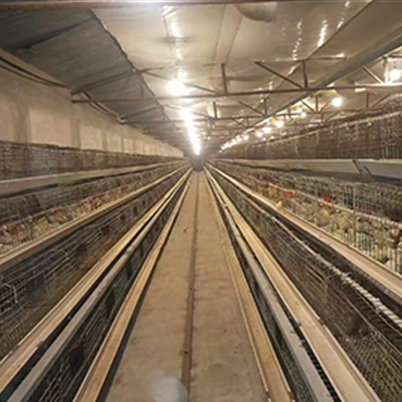 Automatic Steel A-Type H-Type Chicken Coop Enriched Chicken Cage for Laying Hens China Poultry Farms Home Use Retail Industries