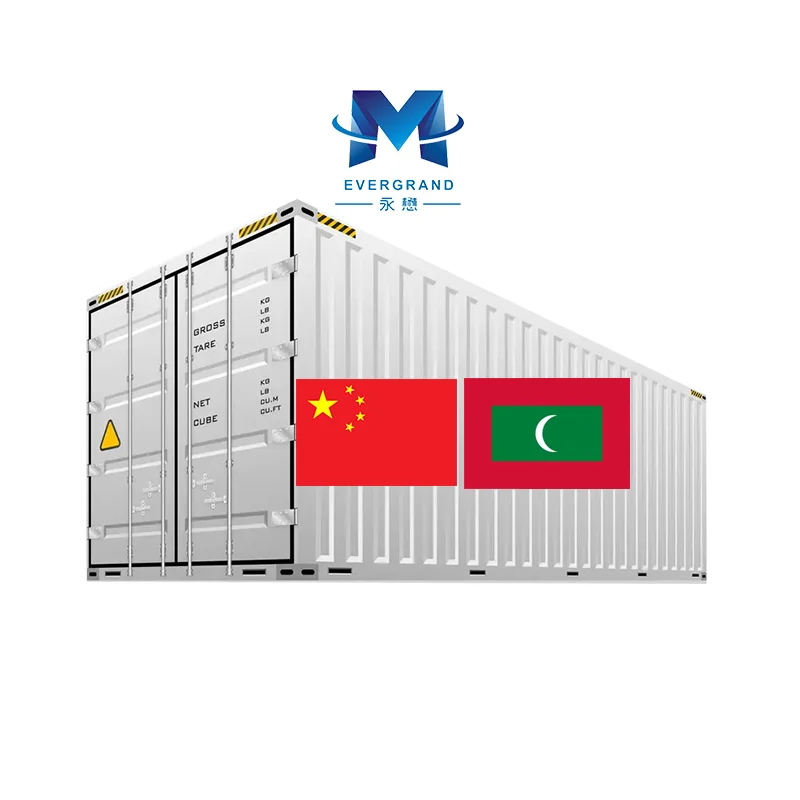 10 Years Sea Transport China to Maldives Freight Forwarder Shipping Agent Door to Door Sea freight Male DDP