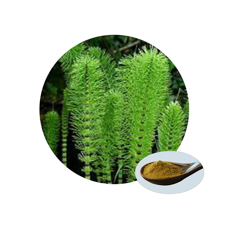 Melaleuca Tower Extract and Huperzine A Powder