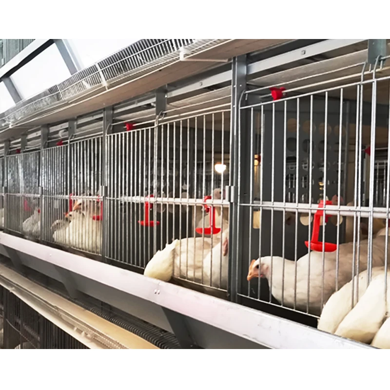Egg Layer Cages Breeding Chicken Poultry Farm Equipment Battery Cage